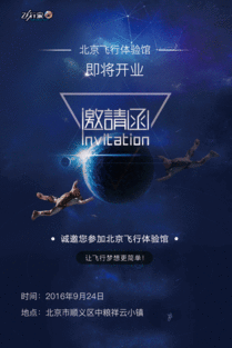 飞行家海报爆料大全最新,揭秘空中英雄的传奇历程 第1张 飞行家海报爆料大全最新,揭秘空中英雄的传奇历程 第1张